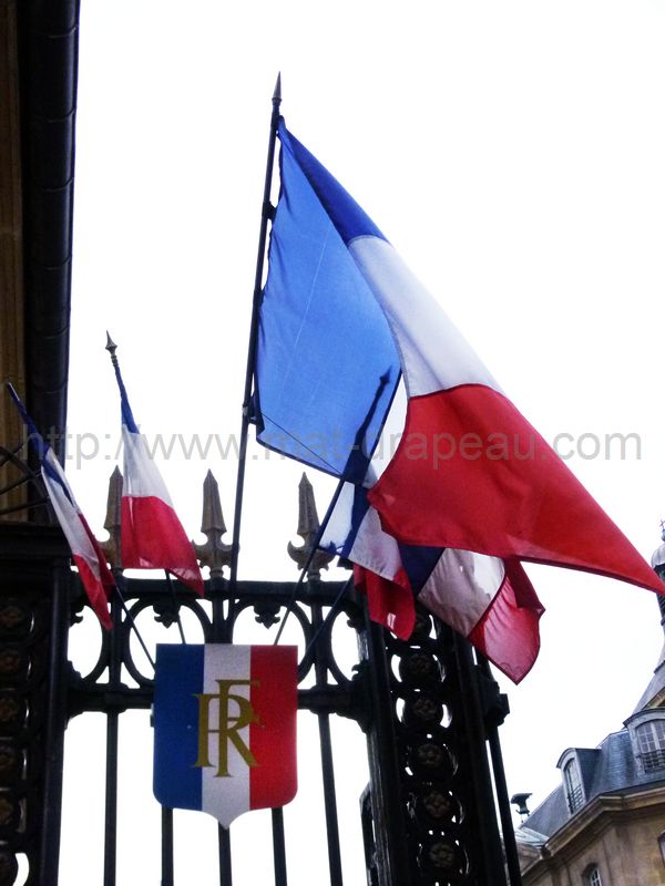 drapeau France : drapeaux monté sur écusson